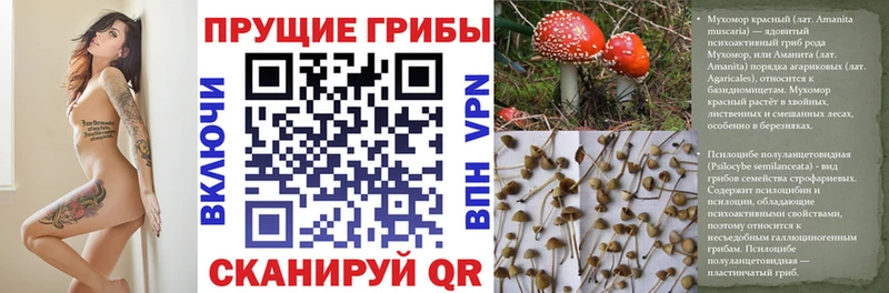 Галлюциногенные грибы MAGIC MUSHROOMS где купить наркотик маркетплейс состав Феодосия